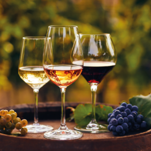 DEGUSTAZIONE IN CANTINA SULLE PENDICI DELL'ETNA